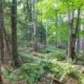 7661 Lone Pine Dr,, Presque Isle, Presque Isle,  WI 54560 United States