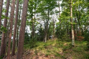 7661 Lone Pine Dr,, Presque Isle, Presque Isle,  WI 54560 United States