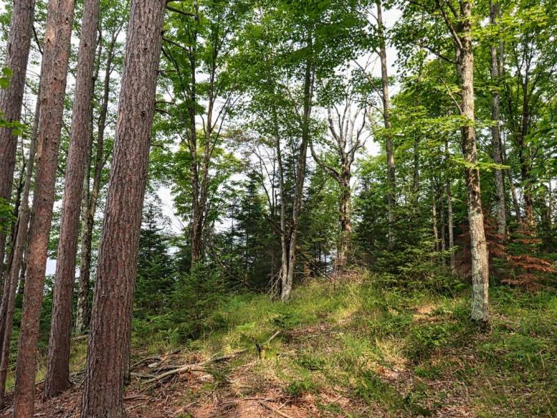 7661 Lone Pine Dr,, Presque Isle, Presque Isle,  WI 54560 United States