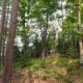 7661 Lone Pine Dr,, Presque Isle, Presque Isle,  WI 54560 United States