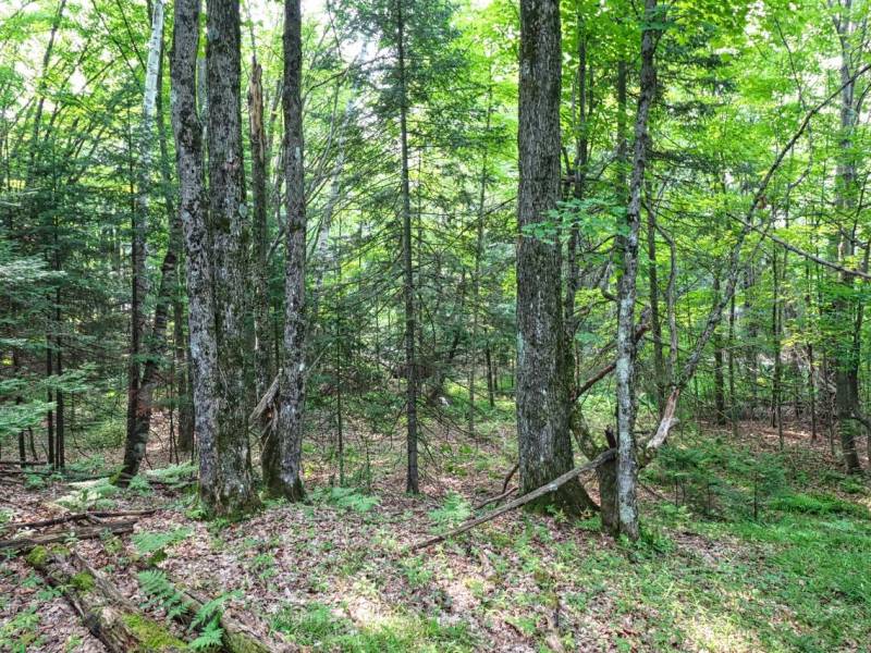 7661 Lone Pine Dr,, Presque Isle, Presque Isle,  WI 54560 United States