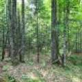 7661 Lone Pine Dr,, Presque Isle, Presque Isle,  WI 54560 United States