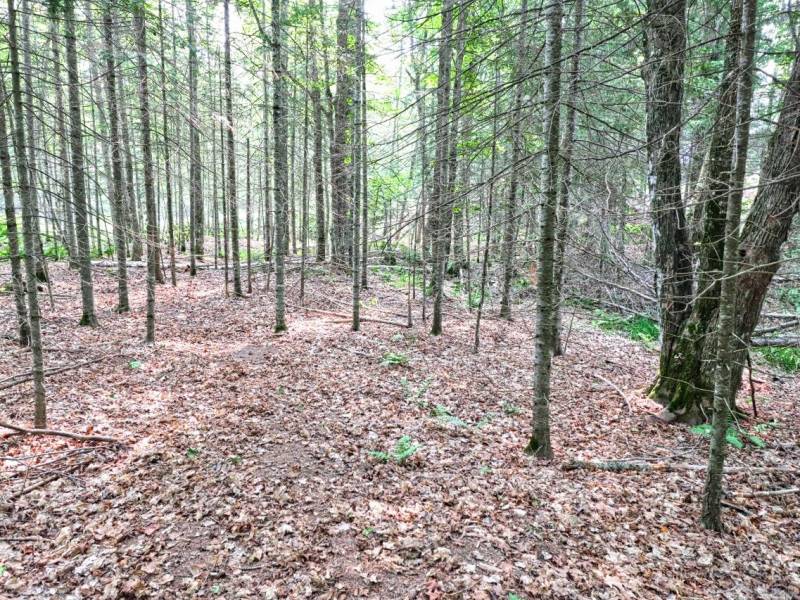 7661 Lone Pine Dr,, Presque Isle, Presque Isle,  WI 54560 United States