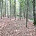 7661 Lone Pine Dr,, Presque Isle, Presque Isle,  WI 54560 United States