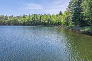 1210 Deer Trail Ln, , Eagle River,  WI 54521