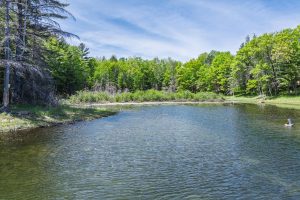 1210 Deer Trail Ln, , Eagle River,  WI 54521