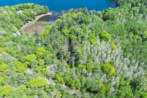 1210 Deer Trail Ln, , Eagle River,  WI 54521