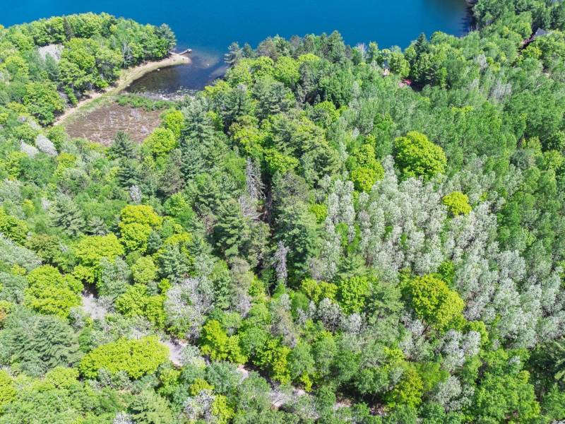 1210 Deer Trail Ln, , Eagle River,  WI 54521