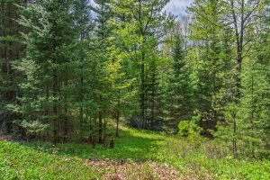 1275 Ponderosa Dr, , Cloberland,  WI 54521