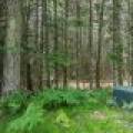 2235 Balsam Ln, , Cloverland,  WI 54521 USA