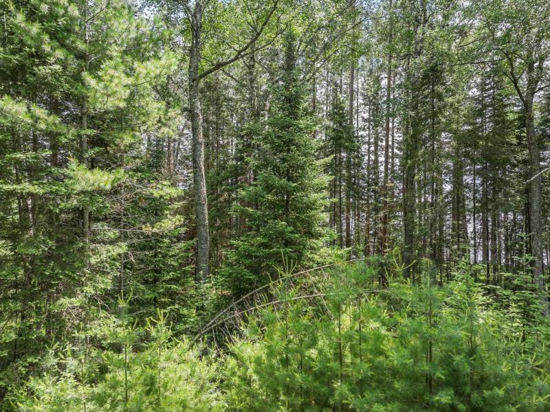 2235 Balsam Ln, , Cloverland,  WI 54521 USA