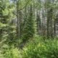 2235 Balsam Ln, , Cloverland,  WI 54521 USA