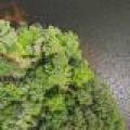 2235 Balsam Ln, , Cloverland,  WI 54521 USA