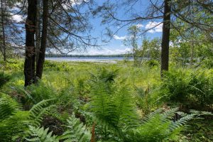 2335 Balsam Ln, , Eagle River,  WI 54521
