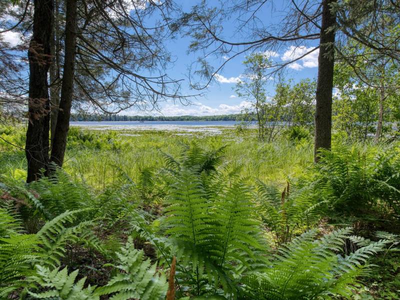 2335 Balsam Ln, , Eagle River,  WI 54521