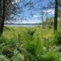 2335 Balsam Ln, , Eagle River,  WI 54521