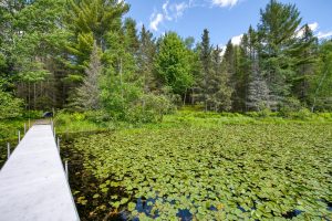 2335 Balsam Ln, , Eagle River,  WI 54521