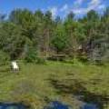 2335 Balsam Ln, , Eagle River,  WI 54521