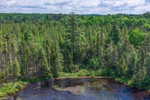 265 Hwy 17, , Eagle River,  WI 54521