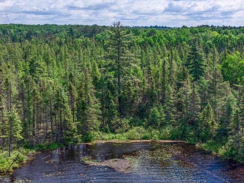 265 Hwy 17, , Eagle River,  WI 54521
