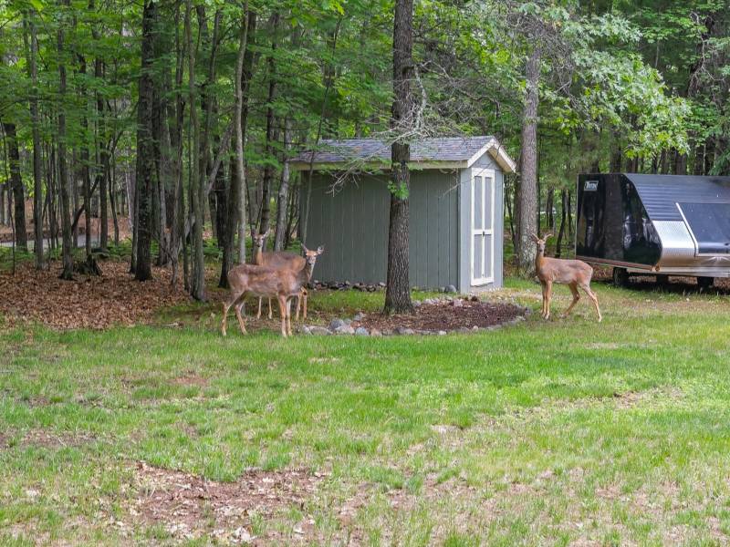 3844 Hwy 70, , Eagle River,  WI 54521