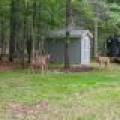 3844 Hwy 70, , Eagle River,  WI 54521