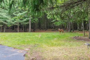 3844 Hwy 70, , Eagle River,  WI 54521