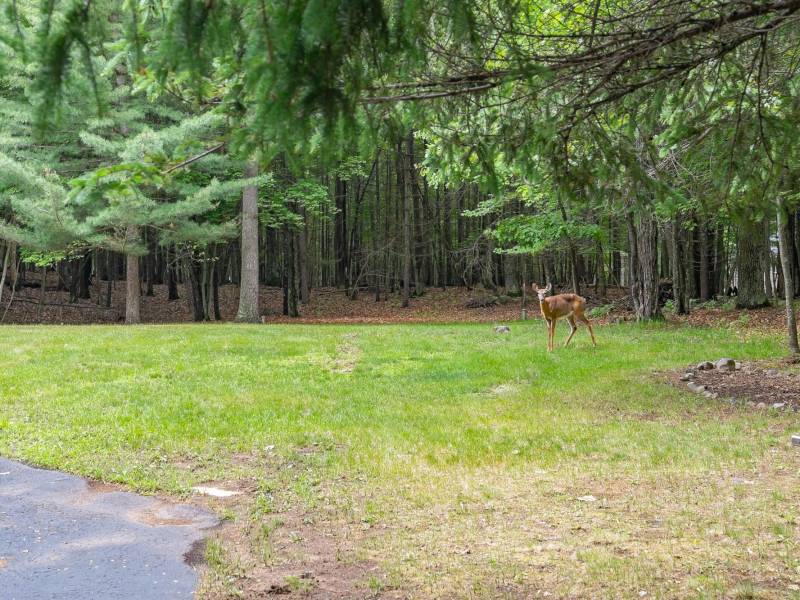 3844 Hwy 70, , Eagle River,  WI 54521