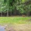 3844 Hwy 70, , Eagle River,  WI 54521
