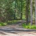 4115 Shangri La Rd, , Washington,  WI 54521