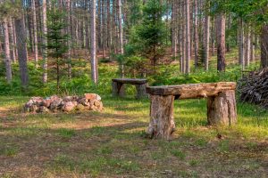 5408 Trappers Trl, , Newbold,  WI 54501 USA
