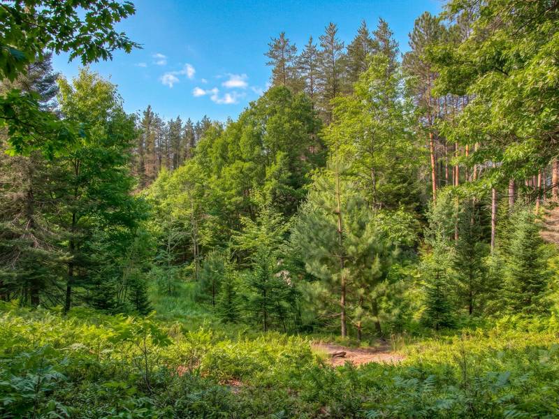 5408 Trappers Trl, , Newbold,  WI 54501 USA