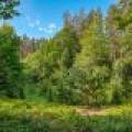 5408 Trappers Trl, , Newbold,  WI 54501 USA