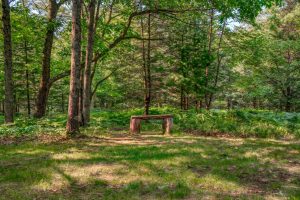 5408 Trappers Trl, , Newbold,  WI 54501 USA