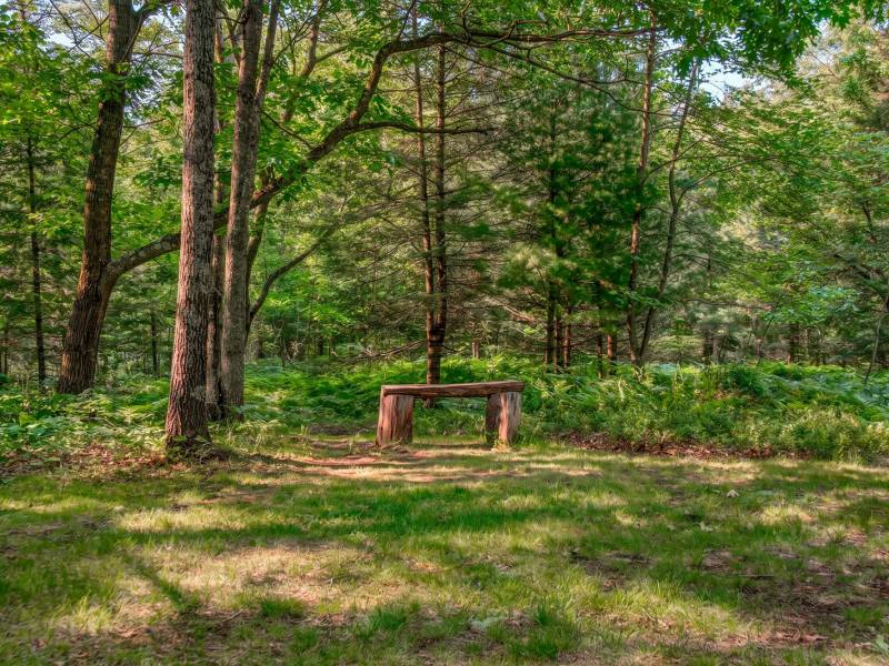 5408 Trappers Trl, , Newbold,  WI 54501 USA