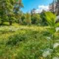 5408 Trappers Trl, , Newbold,  WI 54501 USA