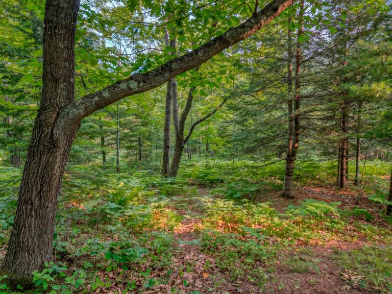 5408 Trappers Trl, , Newbold,  WI 54501 USA