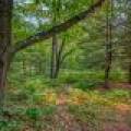 5408 Trappers Trl, , Newbold,  WI 54501 USA