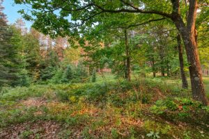 5408 Trappers Trl, , Newbold,  WI 54501 USA