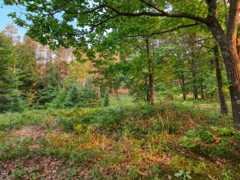 5408 Trappers Trl, , Newbold,  WI 54501 USA