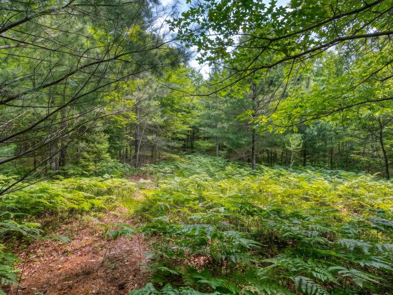 5408 Trappers Trl, , Newbold,  WI 54501 USA
