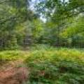 5408 Trappers Trl, , Newbold,  WI 54501 USA