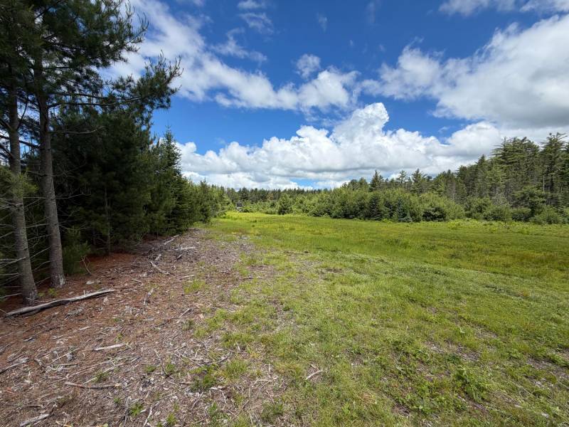5566 Mcnaughton Ln, , Lake Tomahawk,  WI 54539