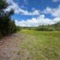 5566 Mcnaughton Ln, , Lake Tomahawk,  WI 54539