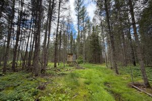 5566 Mcnaughton Ln, , Lake Tomahawk,  WI 54539