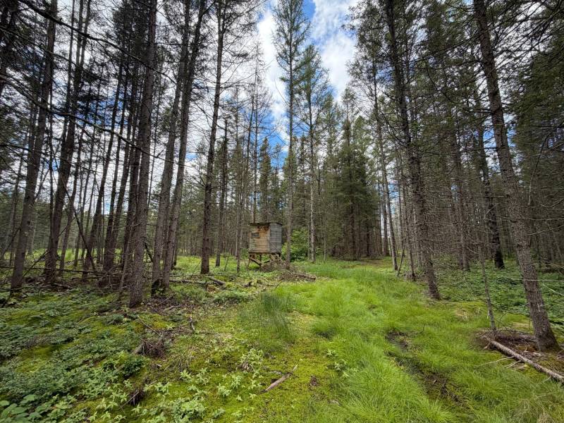 5566 Mcnaughton Ln, , Lake Tomahawk,  WI 54539