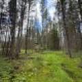 5566 Mcnaughton Ln, , Lake Tomahawk,  WI 54539