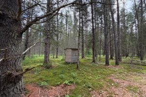 5566 Mcnaughton Ln, , Lake Tomahawk,  WI 54539