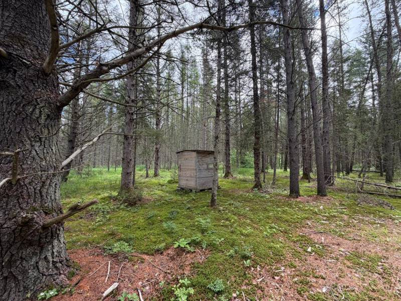 5566 Mcnaughton Ln, , Lake Tomahawk,  WI 54539