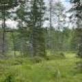 5566 Mcnaughton Ln, , Lake Tomahawk,  WI 54539